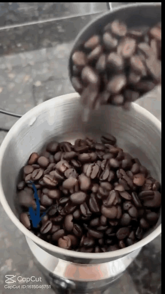 PODER TOTAL NA SUA COZINHA – Moedor 4 Lâminas 110V para Café e Especiarias