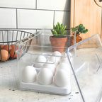 Porta ovos é organizador de geladeira com tampa Clear fresh 36 unidades em acrílico muito uso