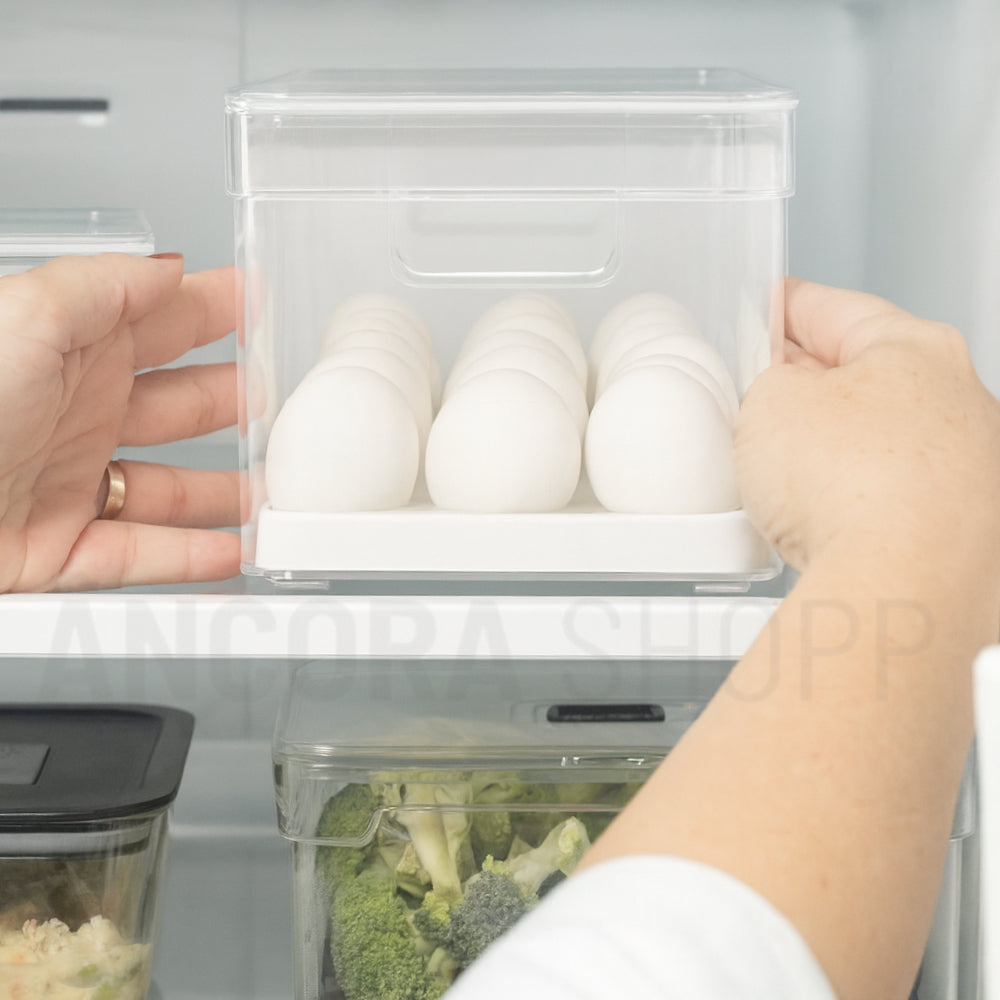 Porta ovos é organizador de geladeira com tampa Clear fresh 36 unidades em acrílico muito uso